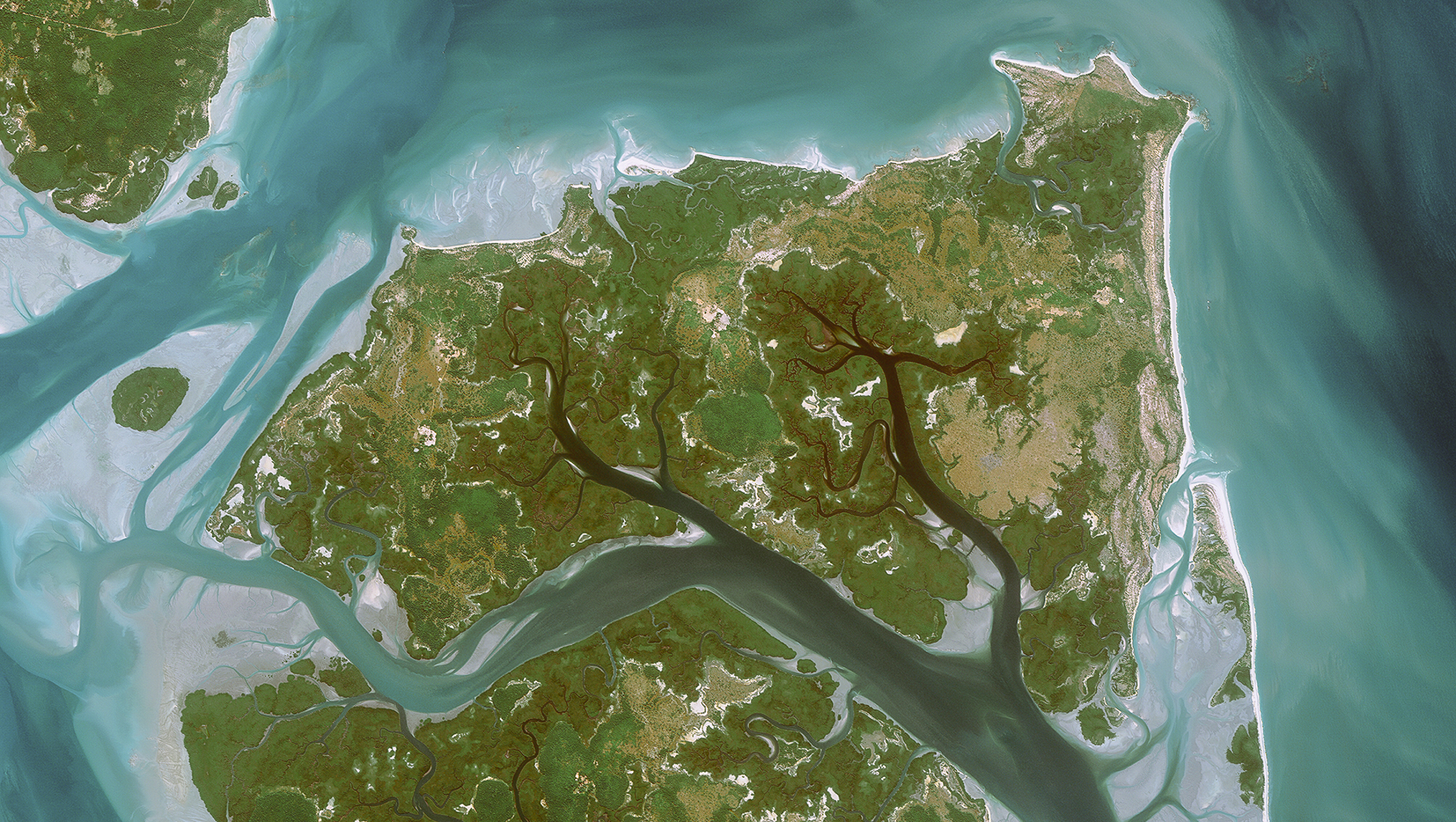 Satellite view of coastal wetlands